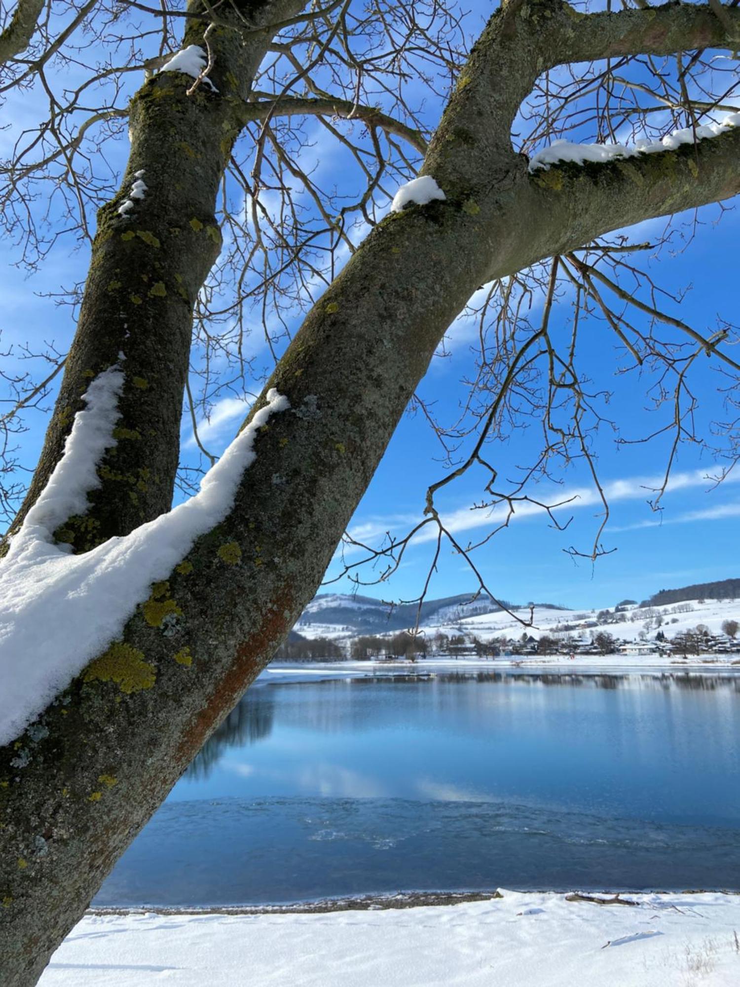 Fewo Panorama Diemelsee Esterno foto